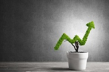 神秘低调的家族办公室，究竟为何被青睐？