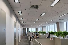 金杜硅谷办公室持续扩充团队规模
