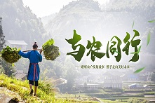 与农同行专题活动