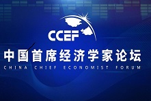 2020中国首席经济学家论坛年会