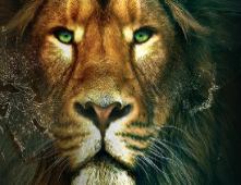 路透社：Liontrust资产管理公司发布第一季度净流入