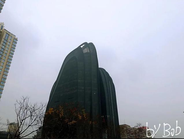 家族办公室成人民币LP最重要活水，目前相当于2005年的PE/VC行业