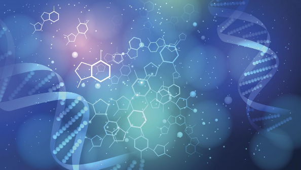 是什么造就了成功的MEDTECH投资？