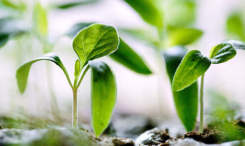 新交所与英国政府建立 ESG 合作关系
